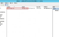 怎样在Win server2012+IIS8.5下安装SSL数字证书？