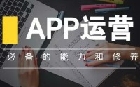 因做APP没品牌域名，给企业造成这些重大损失至今被隐藏多年（行业揭秘）